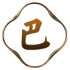 图片5
